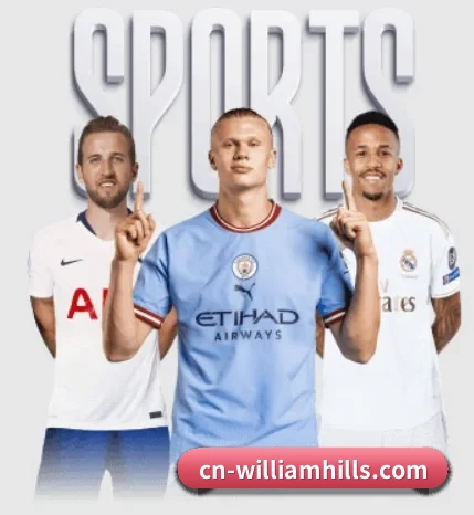 用内容积累长期价值(williamhill)